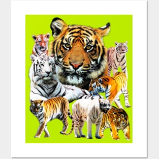 Very Awesome Tiger Tie Dye (Cool and Sick) Posters and Art